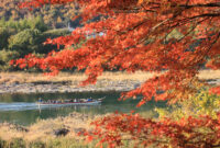 桃太郎紅葉船